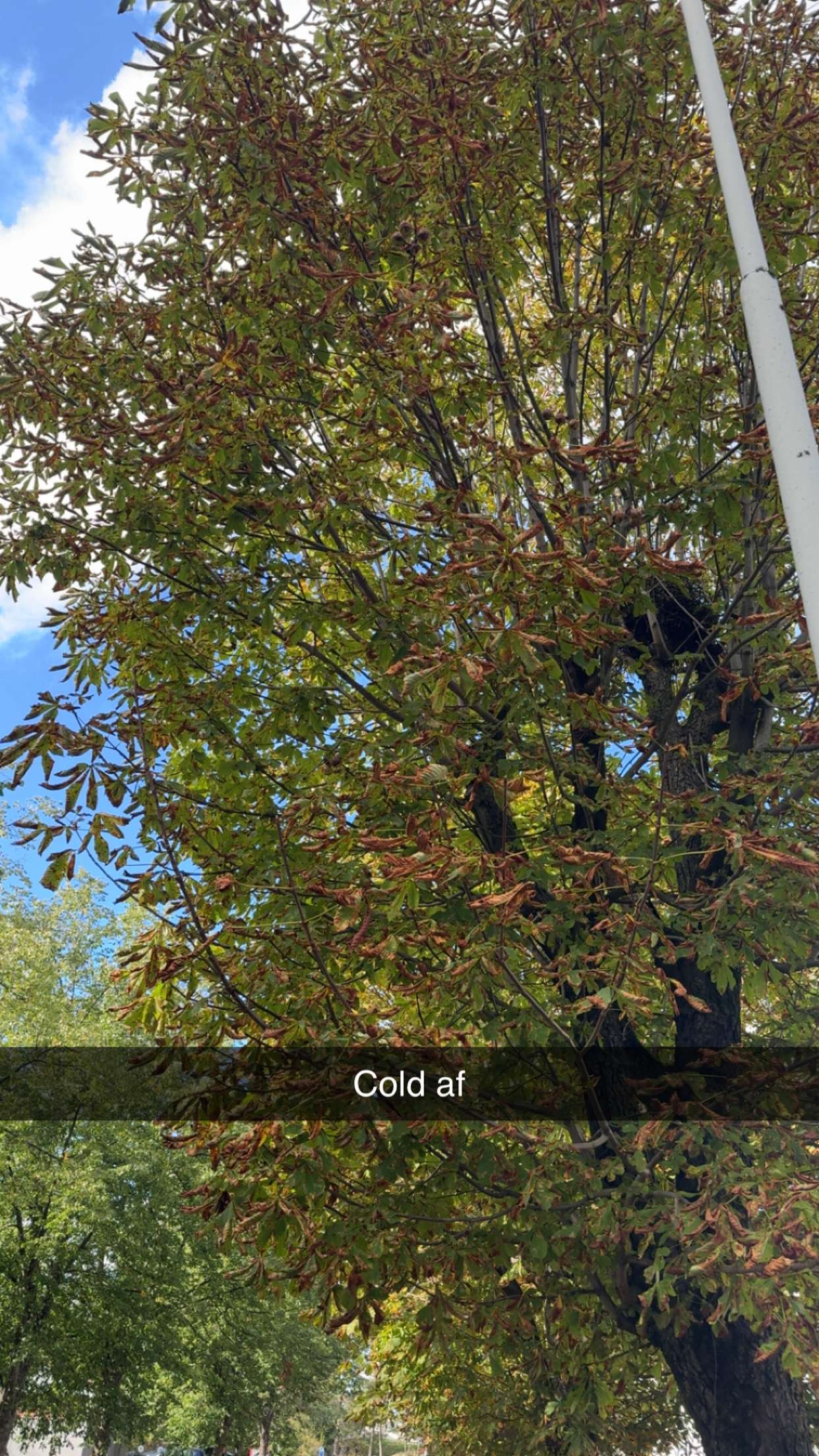 mathilda_bergs snapchat image archive image