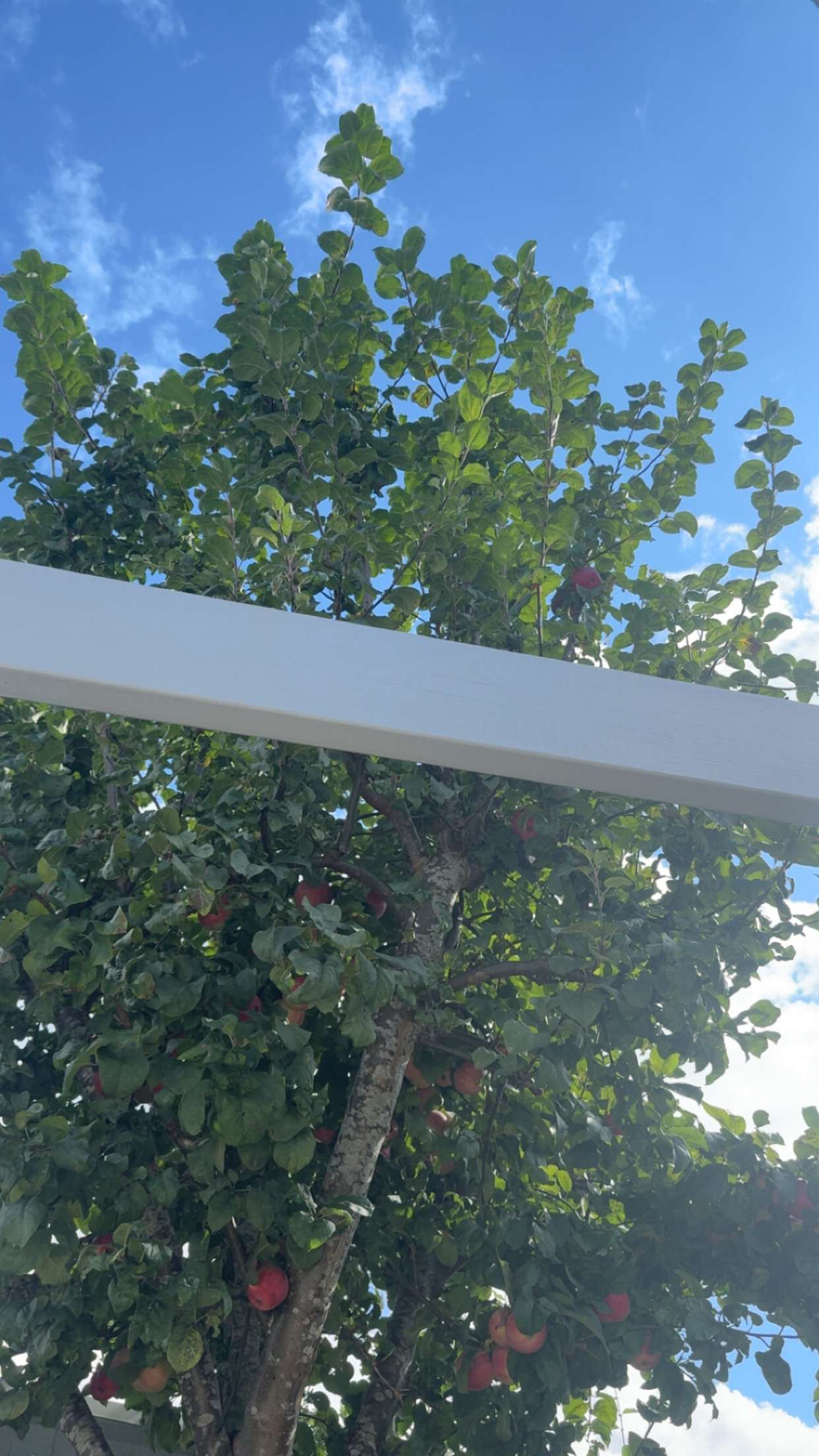 mathilda_bergs snapchat image archive image