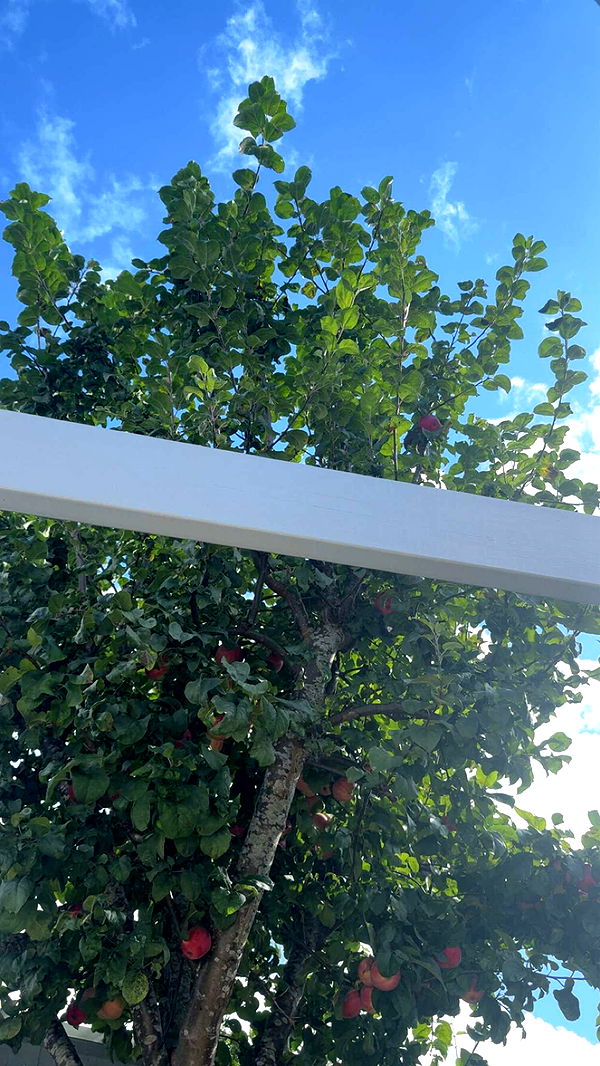 mathilda_bergs image ~ Altpins