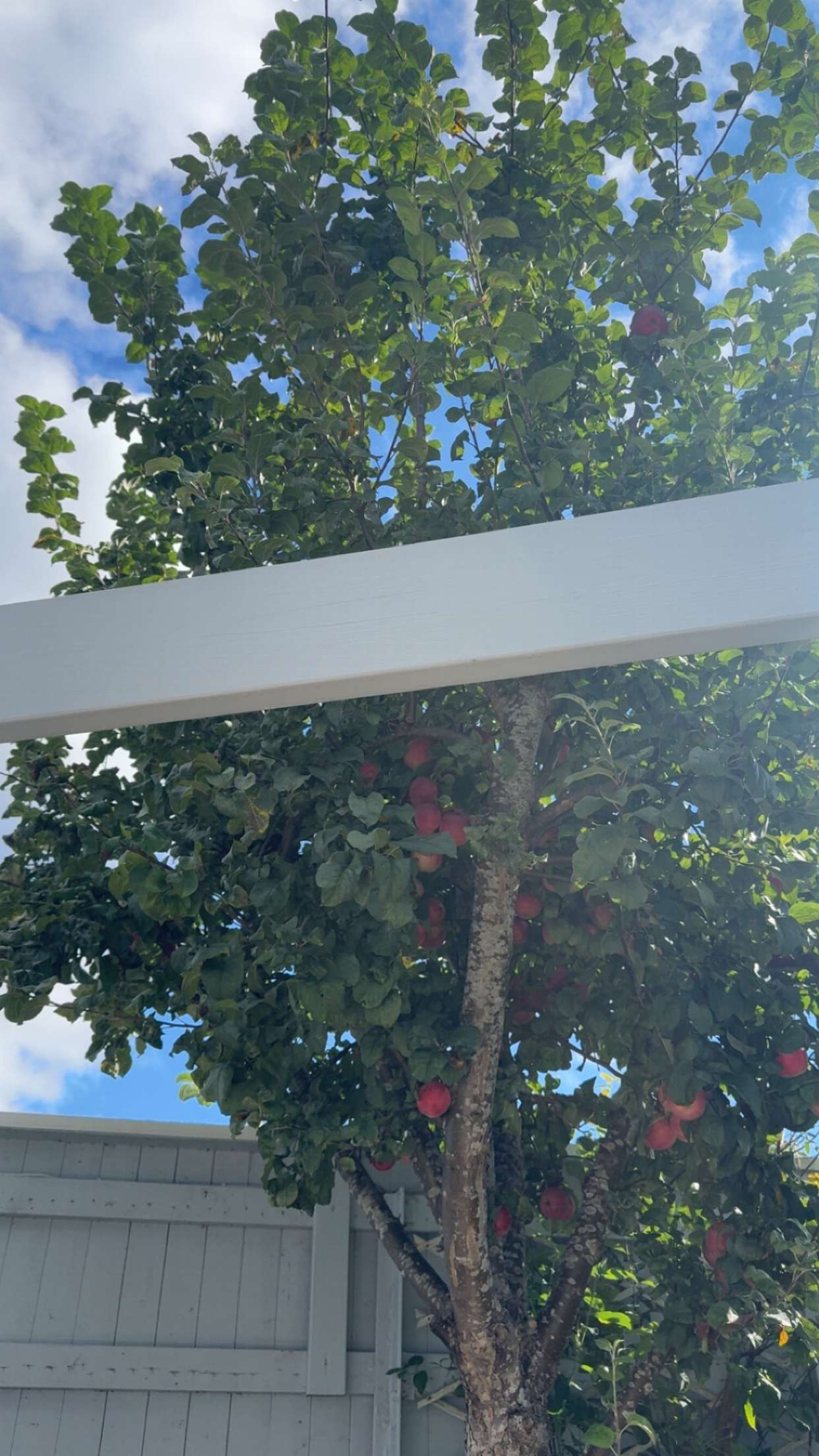 mathilda_bergs snapchat image archive image