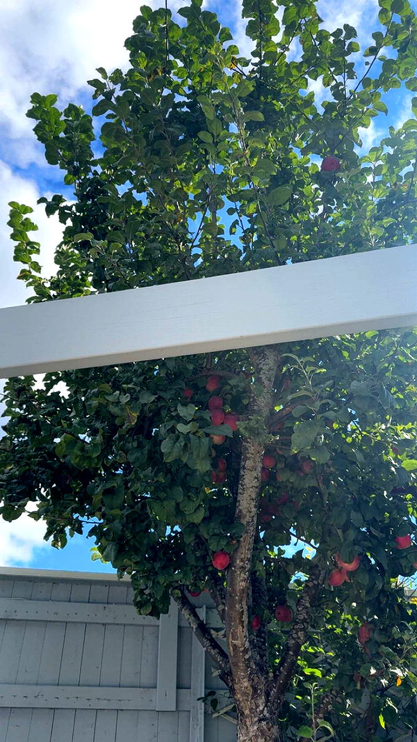 mathilda_bergs image ~ Altpins