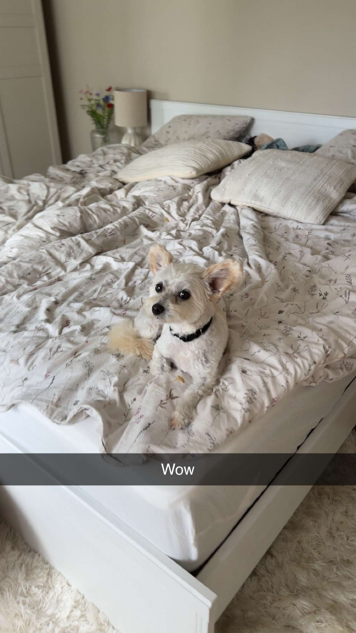 mathilda_bergs snapchat image archive image