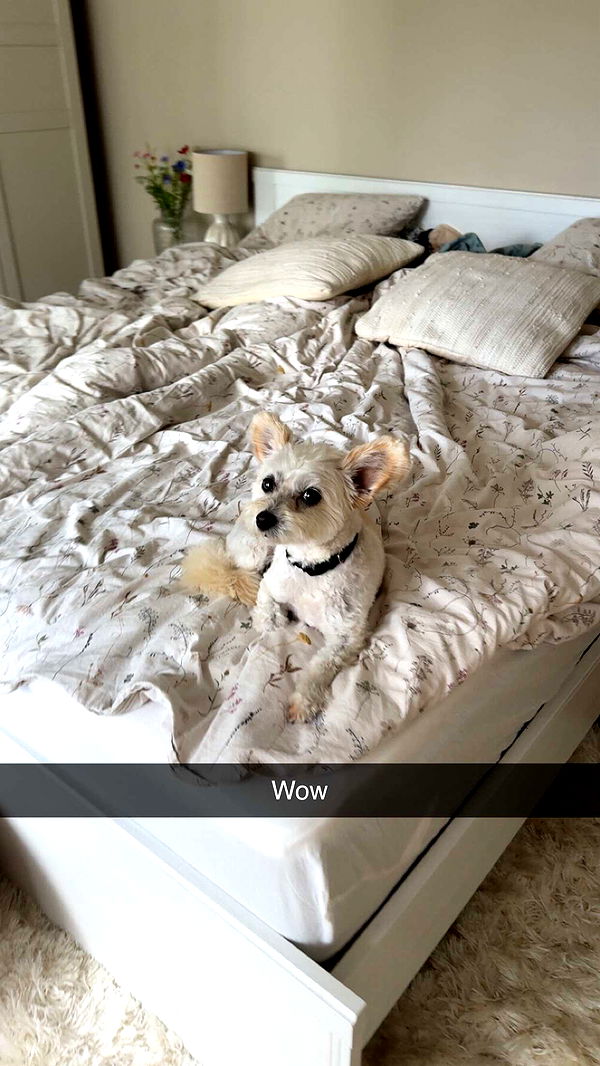 mathilda_bergs image ~ Altpins