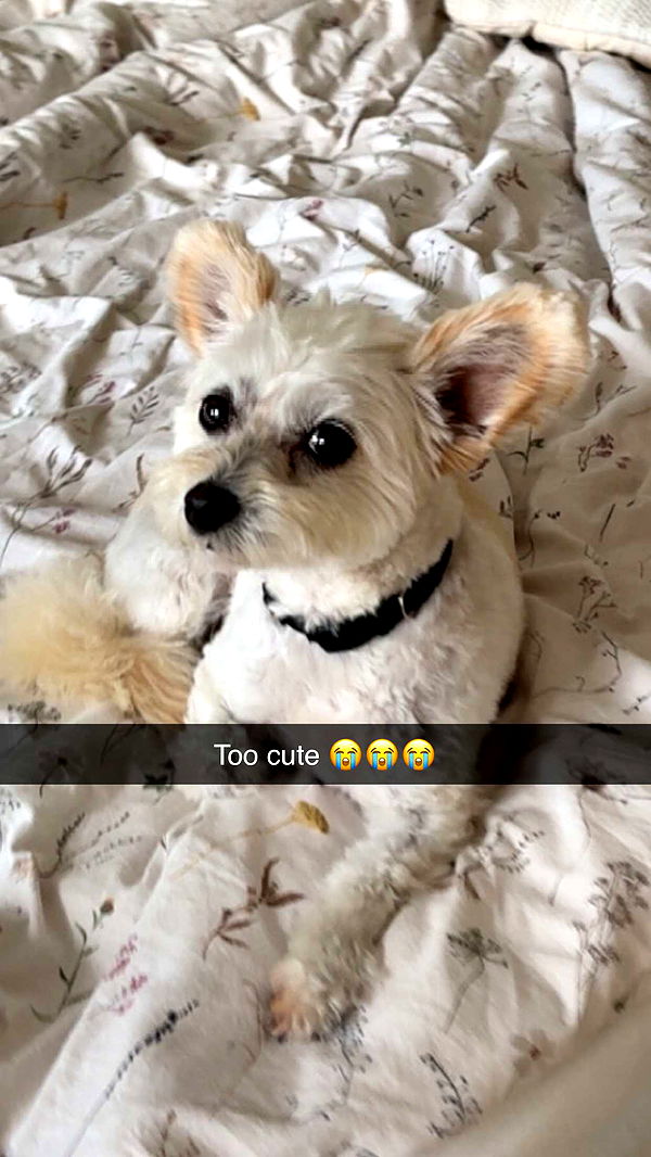 mathilda_bergs image ~ Altpins