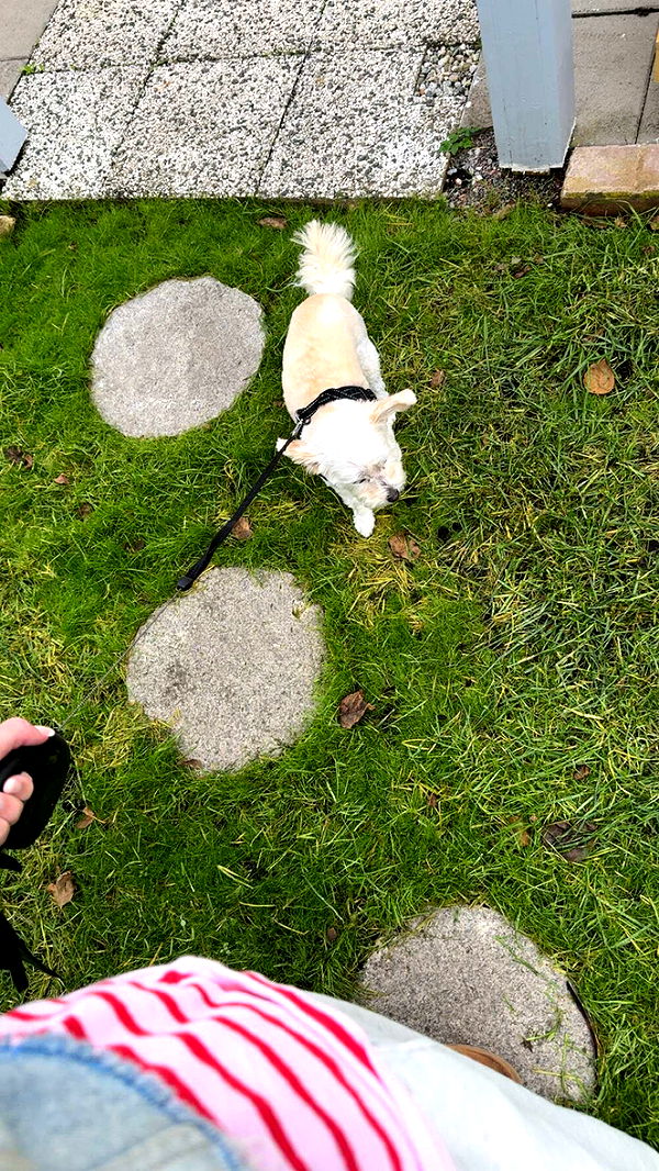 mathilda_bergs image ~ Altpins