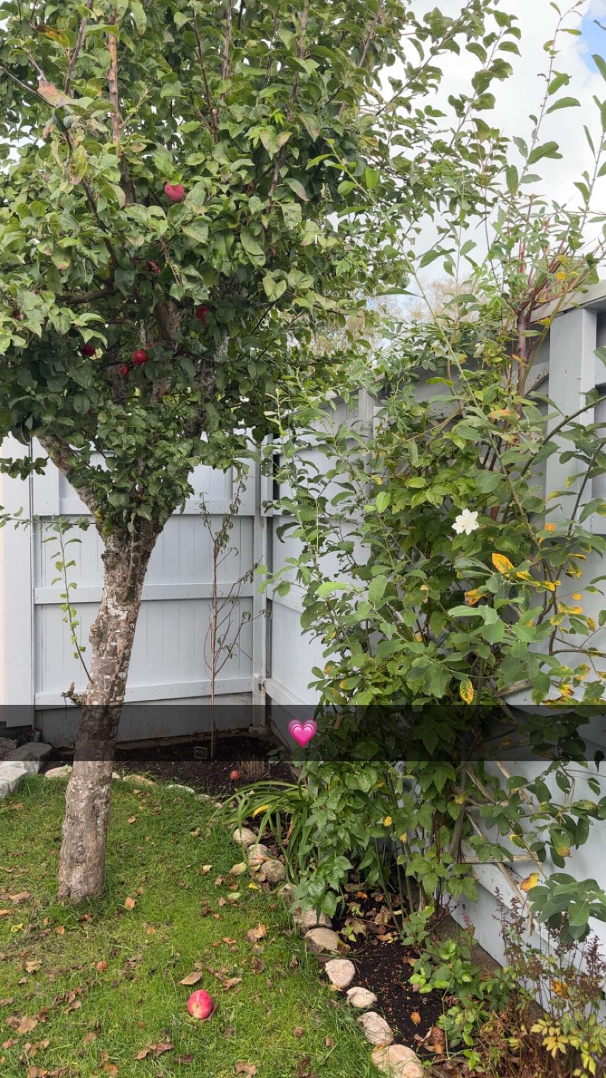 mathilda_bergs snapchat image archive image