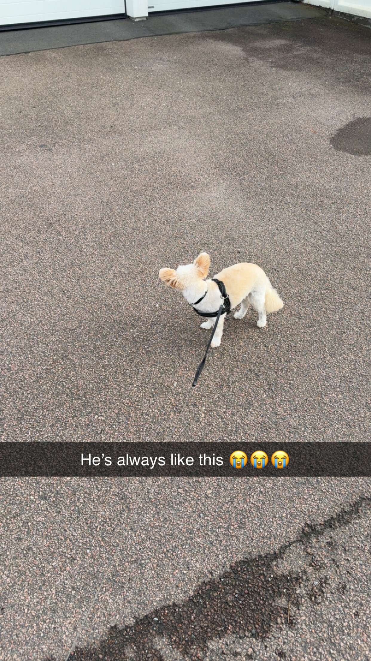 mathilda_bergs snapchat image archive image