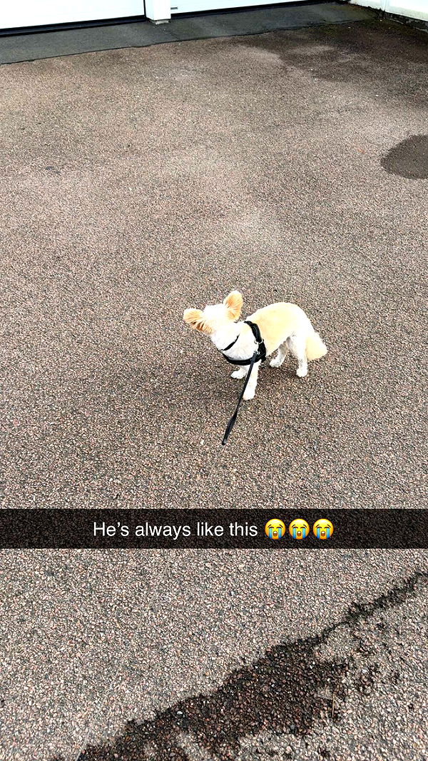 mathilda_bergs image ~ Altpins