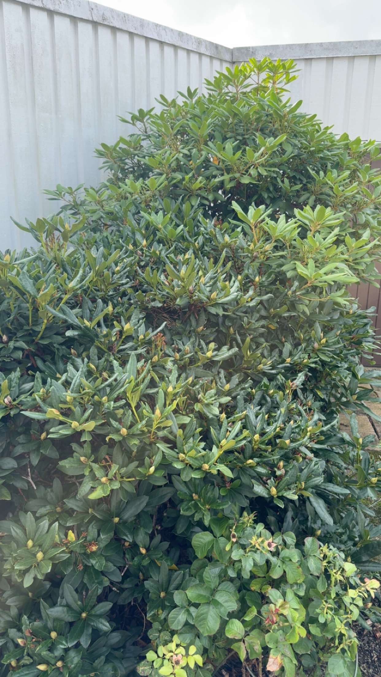 mathilda_bergs snapchat image archive image