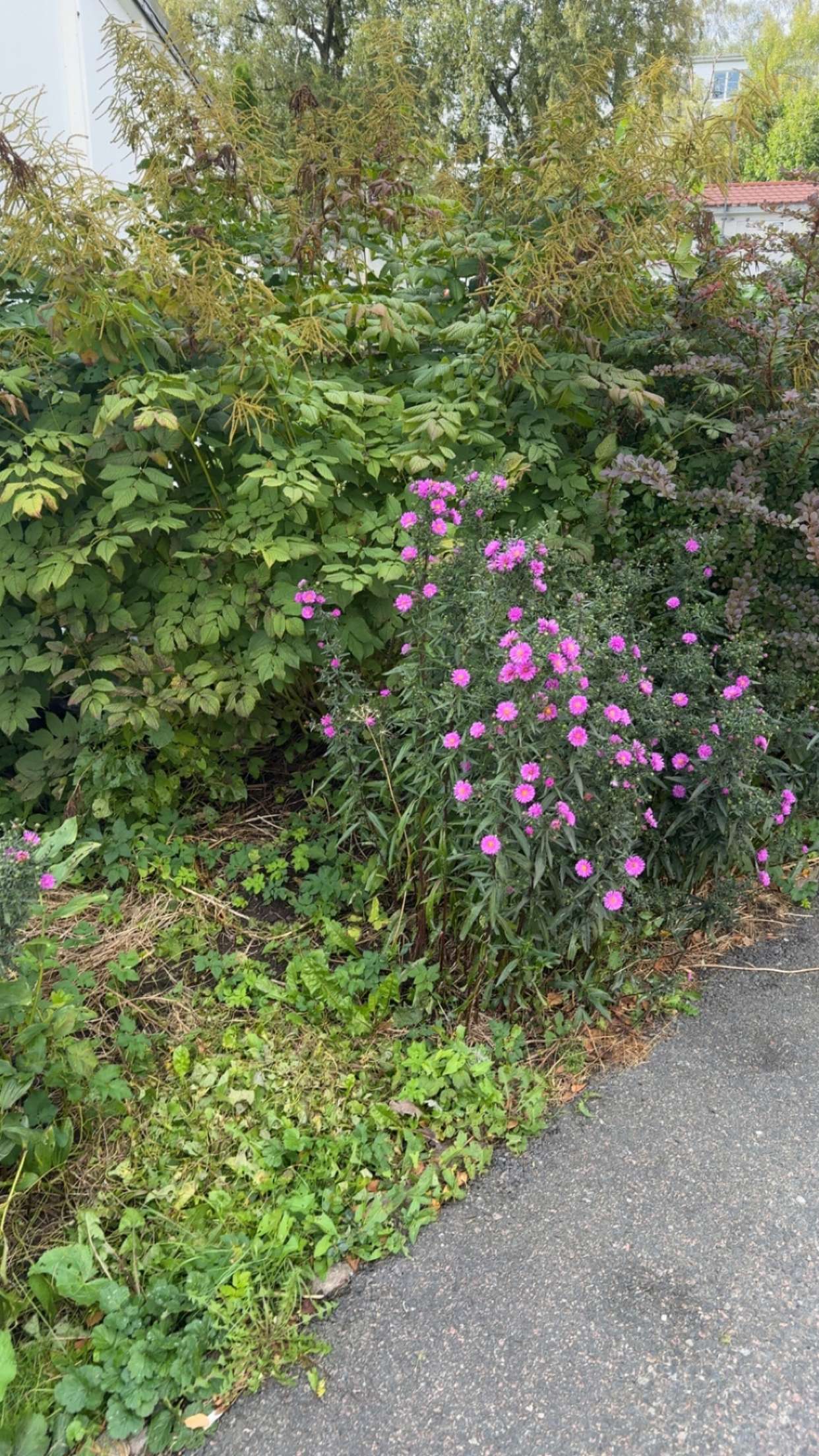 mathilda_bergs snapchat image archive image