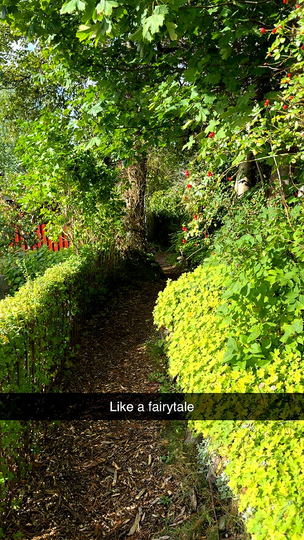 mathilda_bergs image ~ Altpins