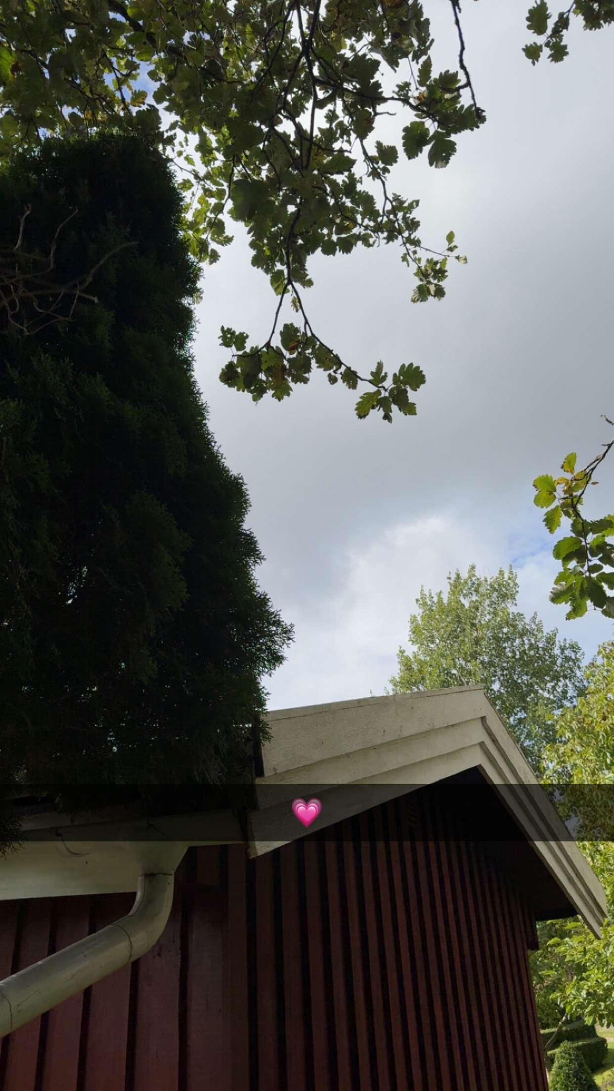 mathilda_bergs snapchat image archive image