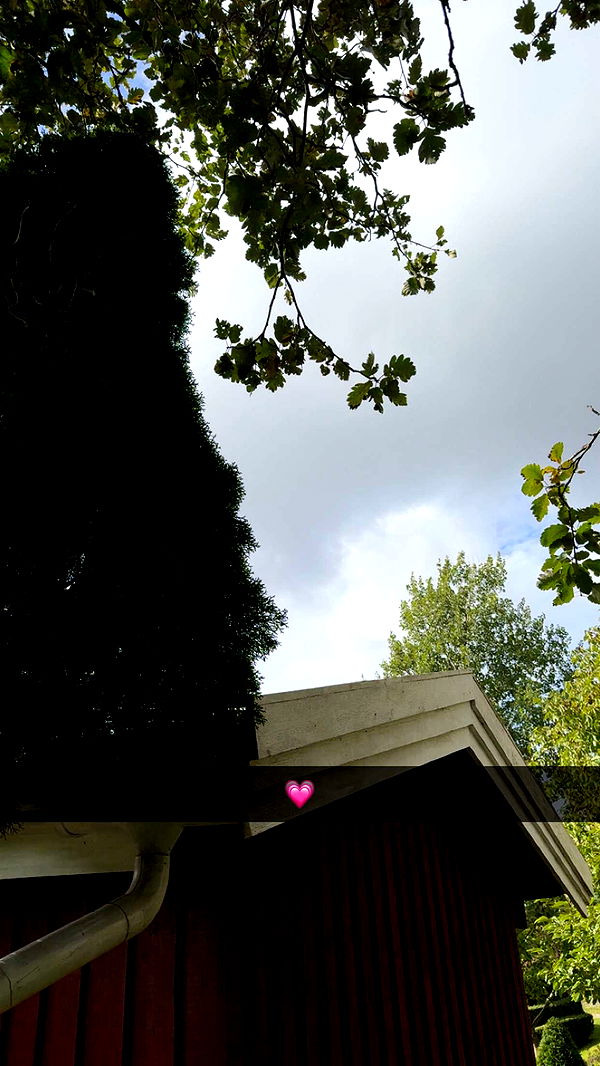 mathilda_bergs image ~ Altpins