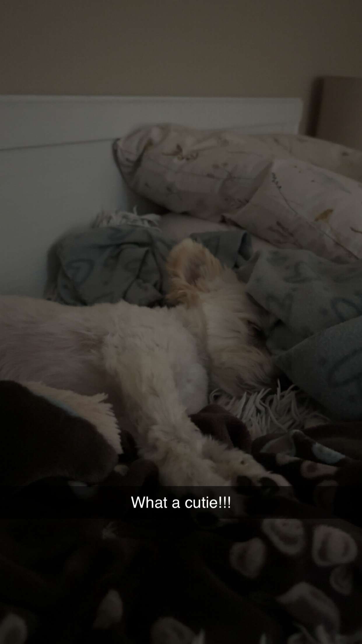 mathilda_bergs snapchat image archive image