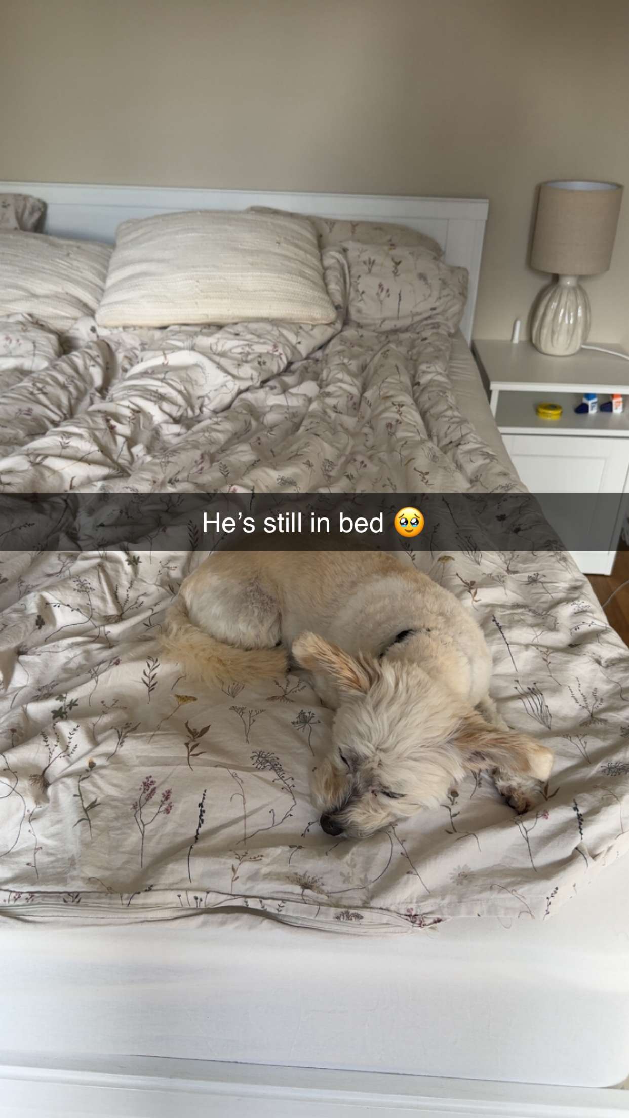 mathilda_bergs snapchat image archive image