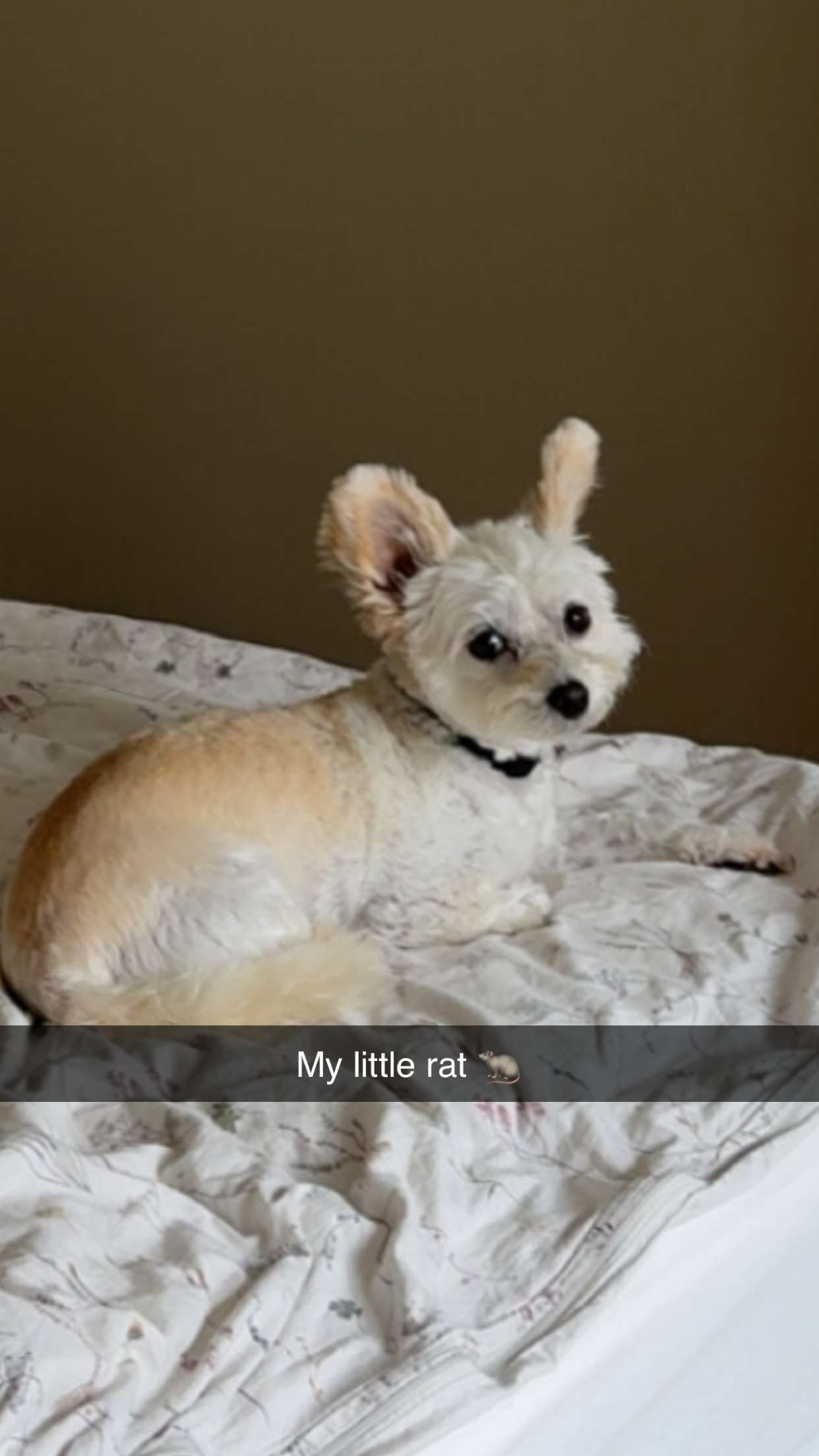 mathilda_bergs snapchat image archive image