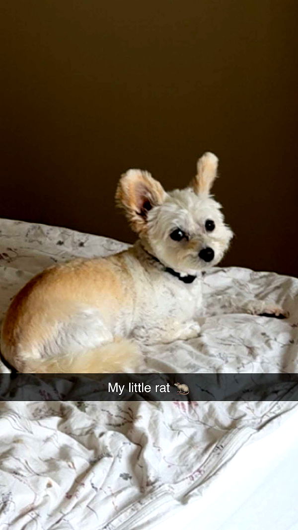 mathilda_bergs image ~ Altpins