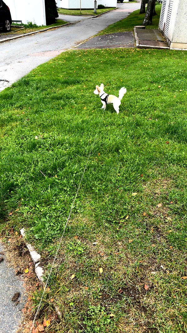 mathilda_bergs image ~ Altpins