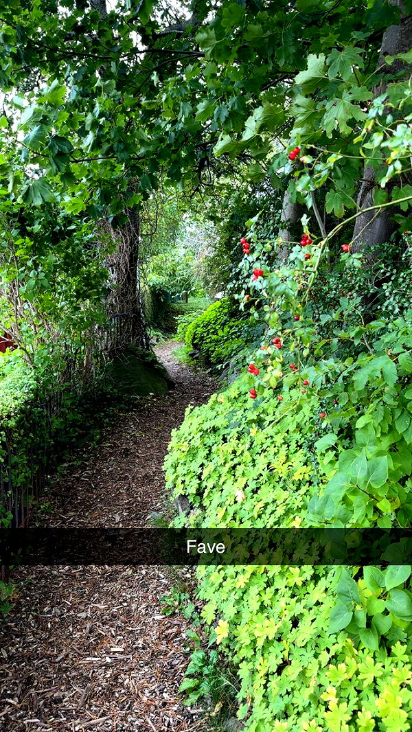 mathilda_bergs image ~ Altpins