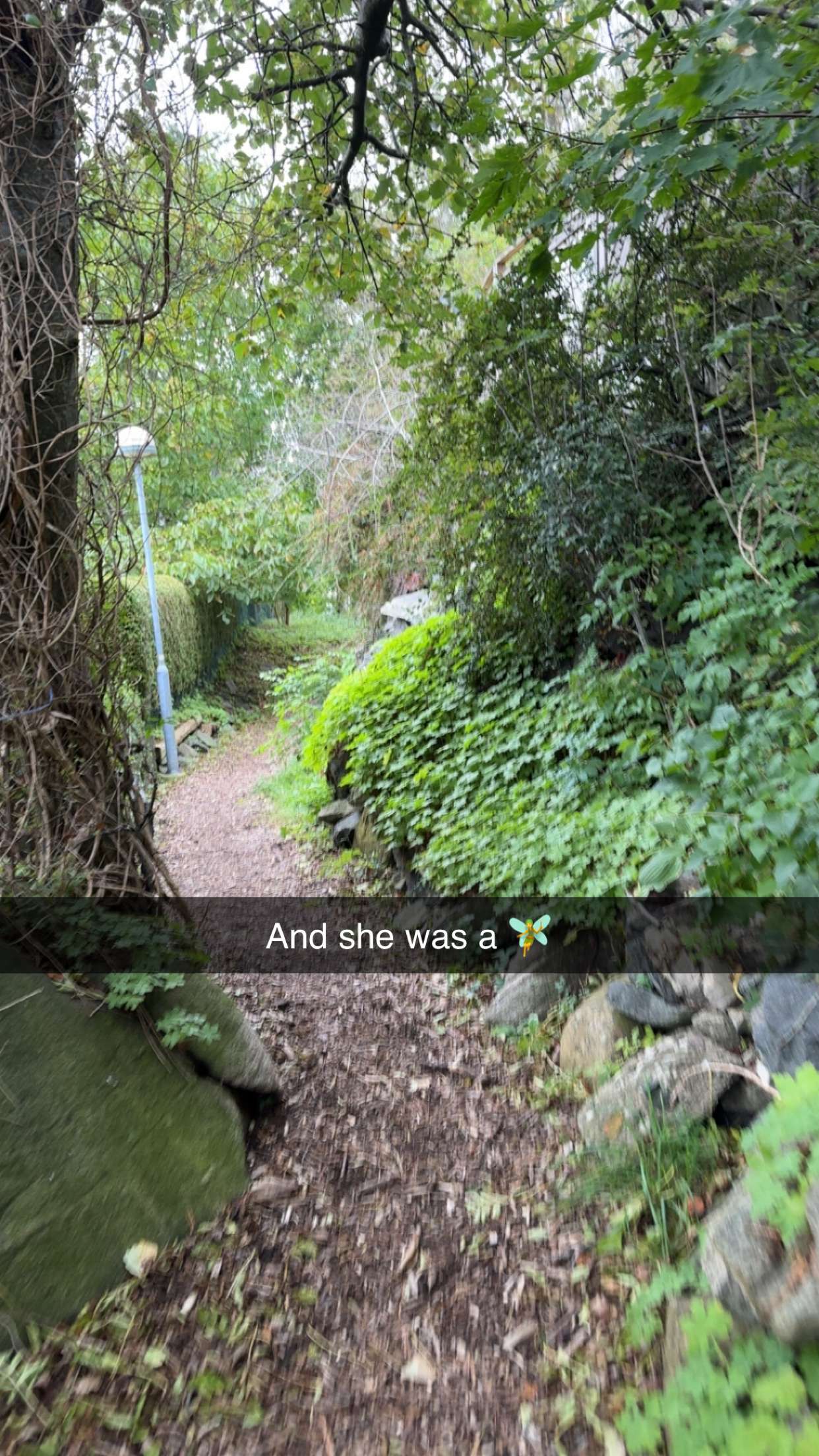 mathilda_bergs snapchat image archive image