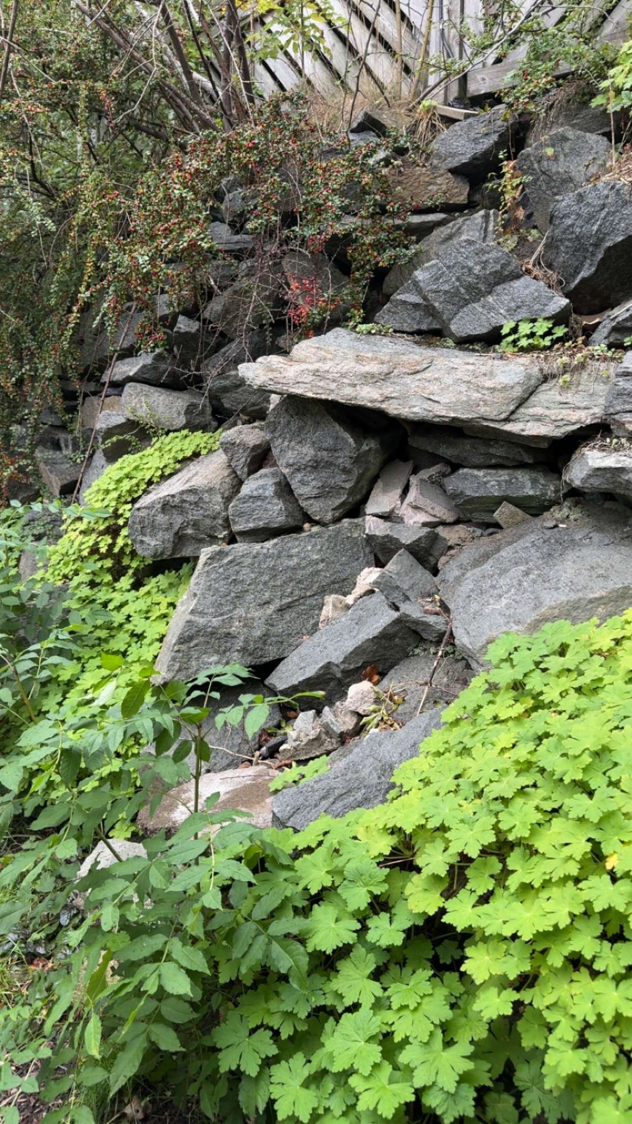 mathilda_bergs snapchat image archive image