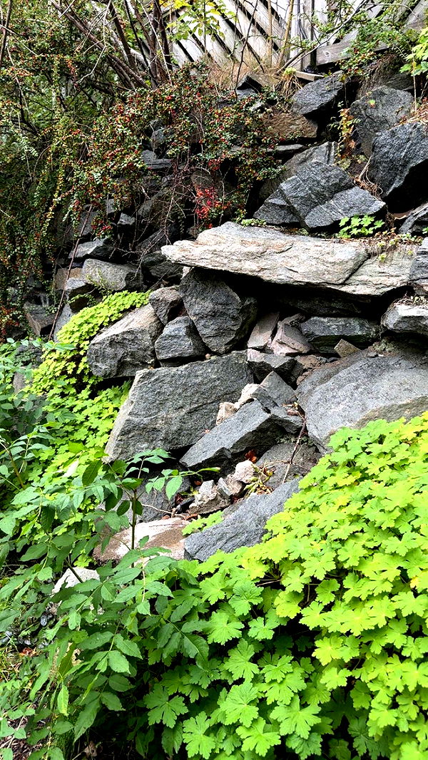 mathilda_bergs image ~ Altpins