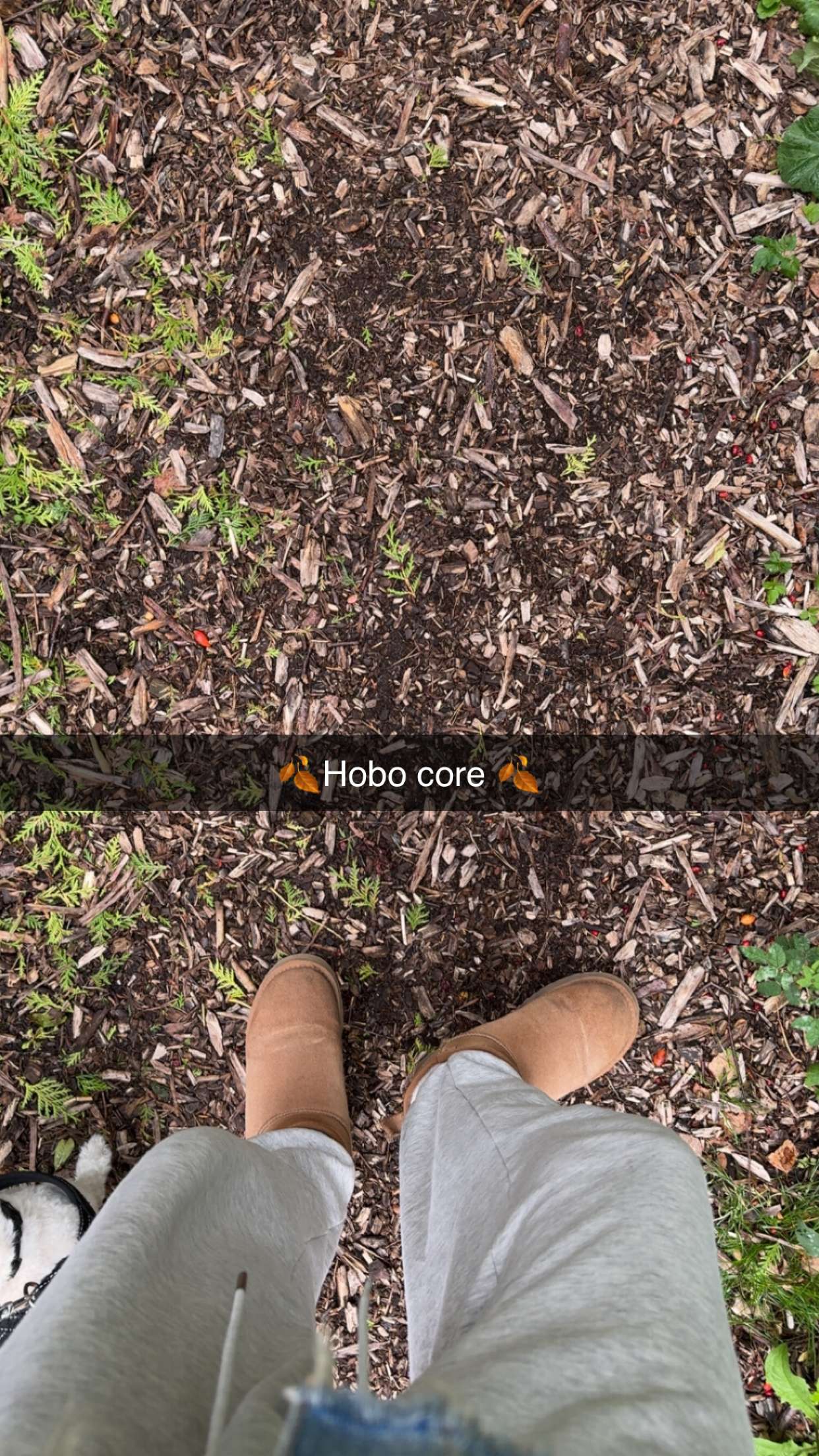 mathilda_bergs snapchat image archive image