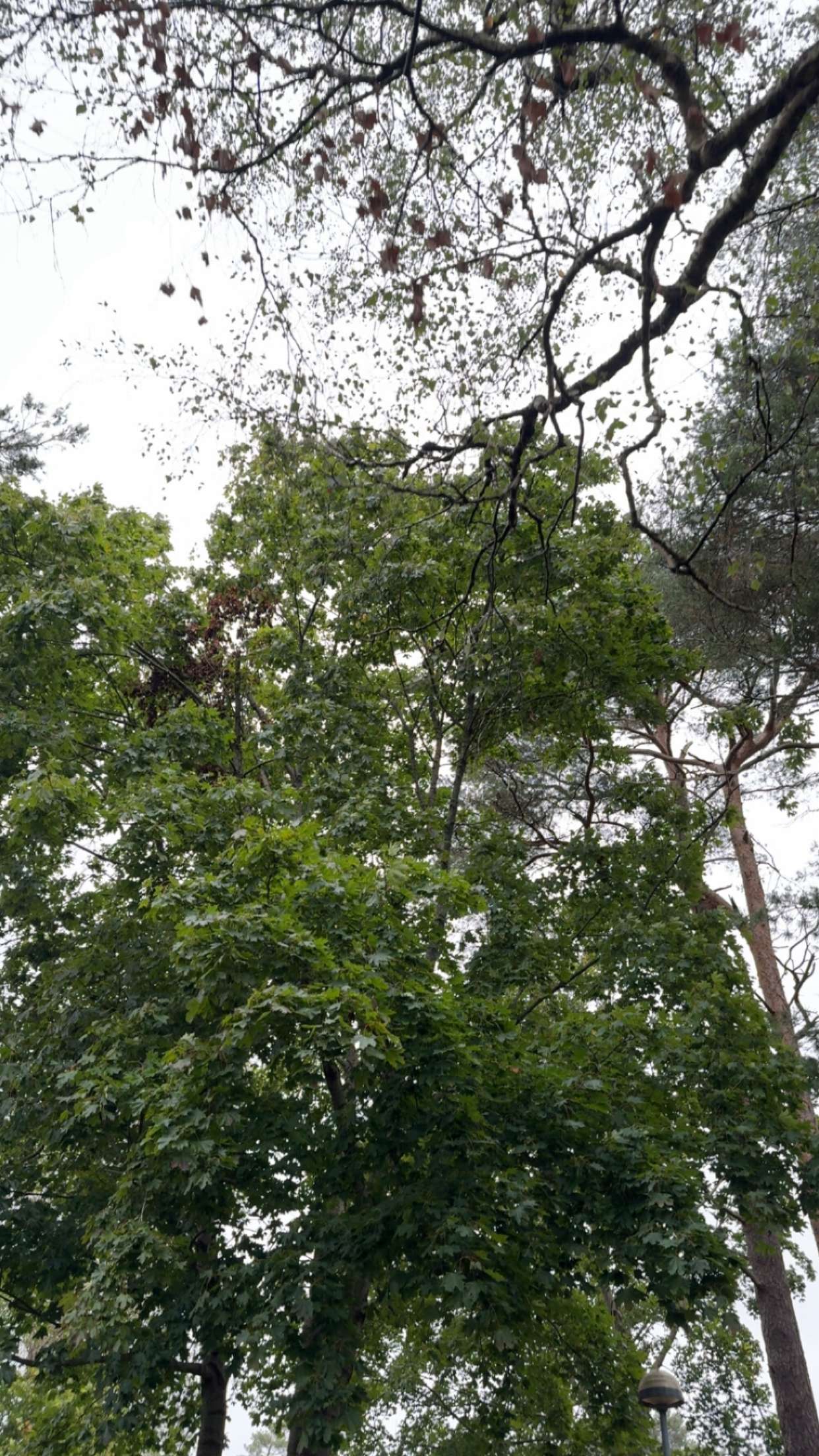 mathilda_bergs snapchat image archive image