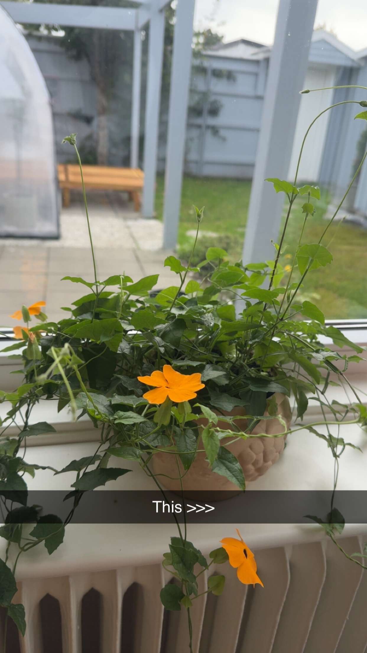 mathilda_bergs snapchat image archive image