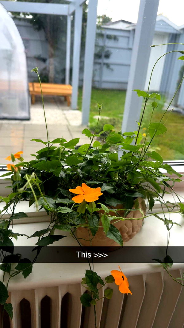 mathilda_bergs image ~ Altpins