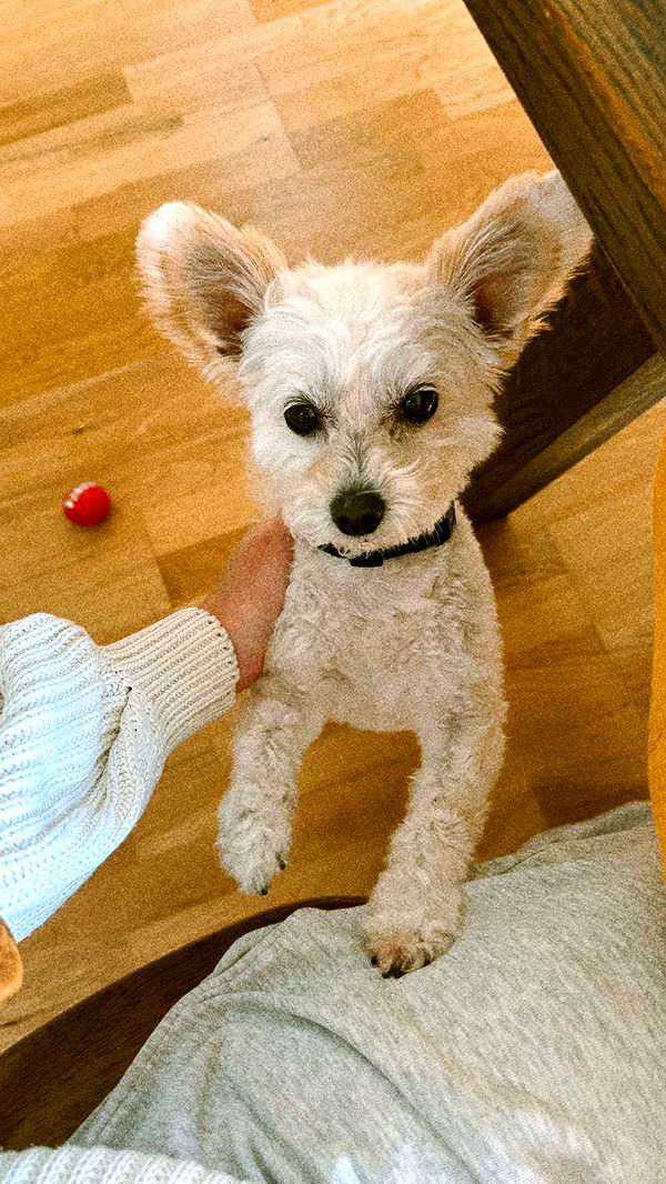 mathilda_bergs image ~ Altpins