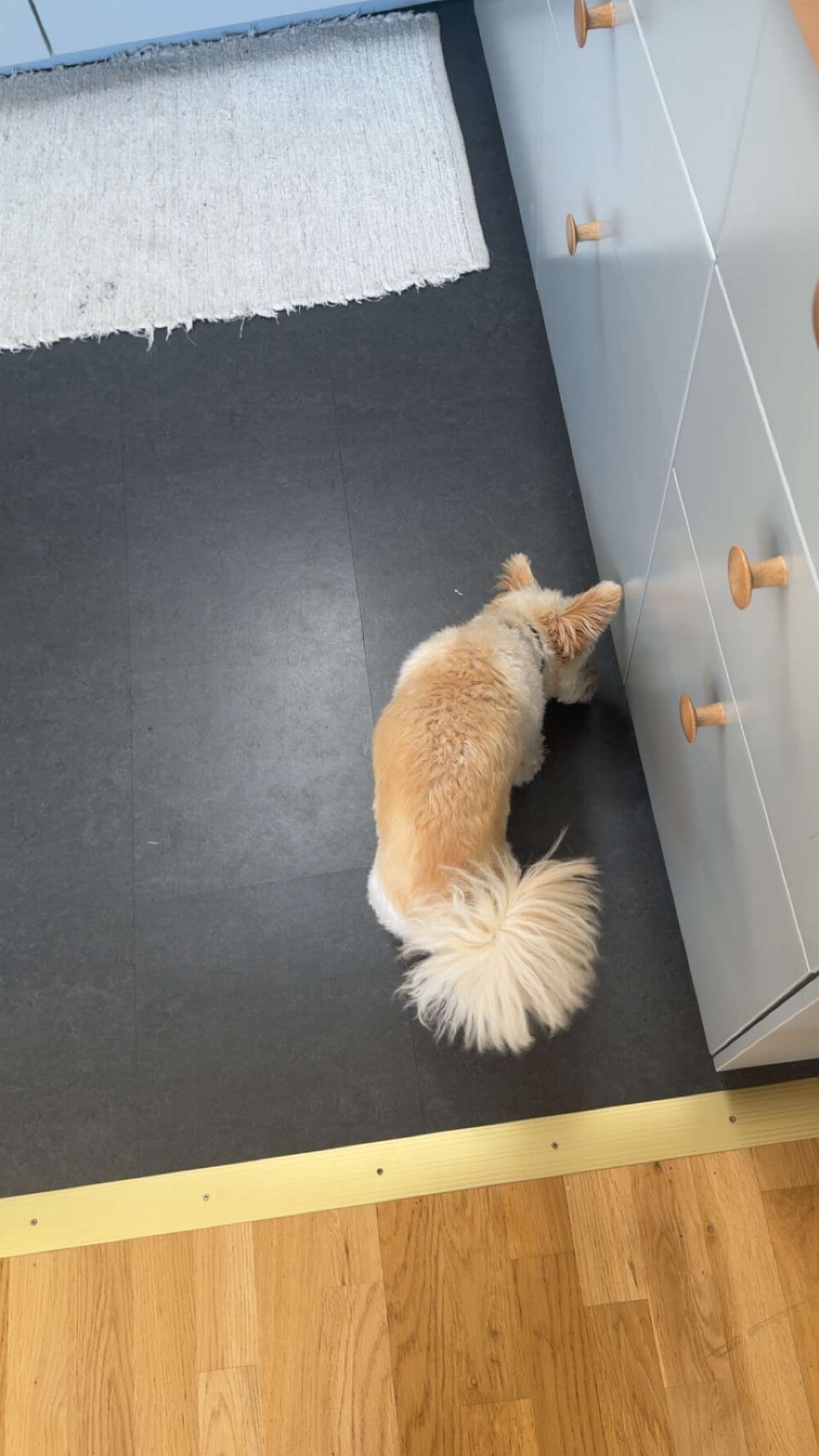 mathilda_bergs snapchat image archive image