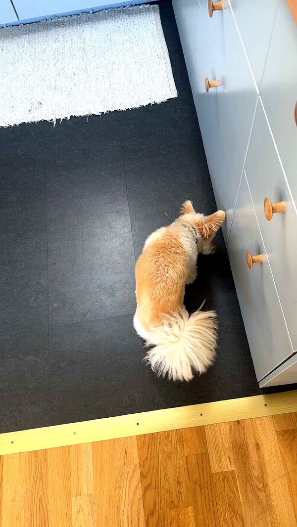 mathilda_bergs image ~ Altpins