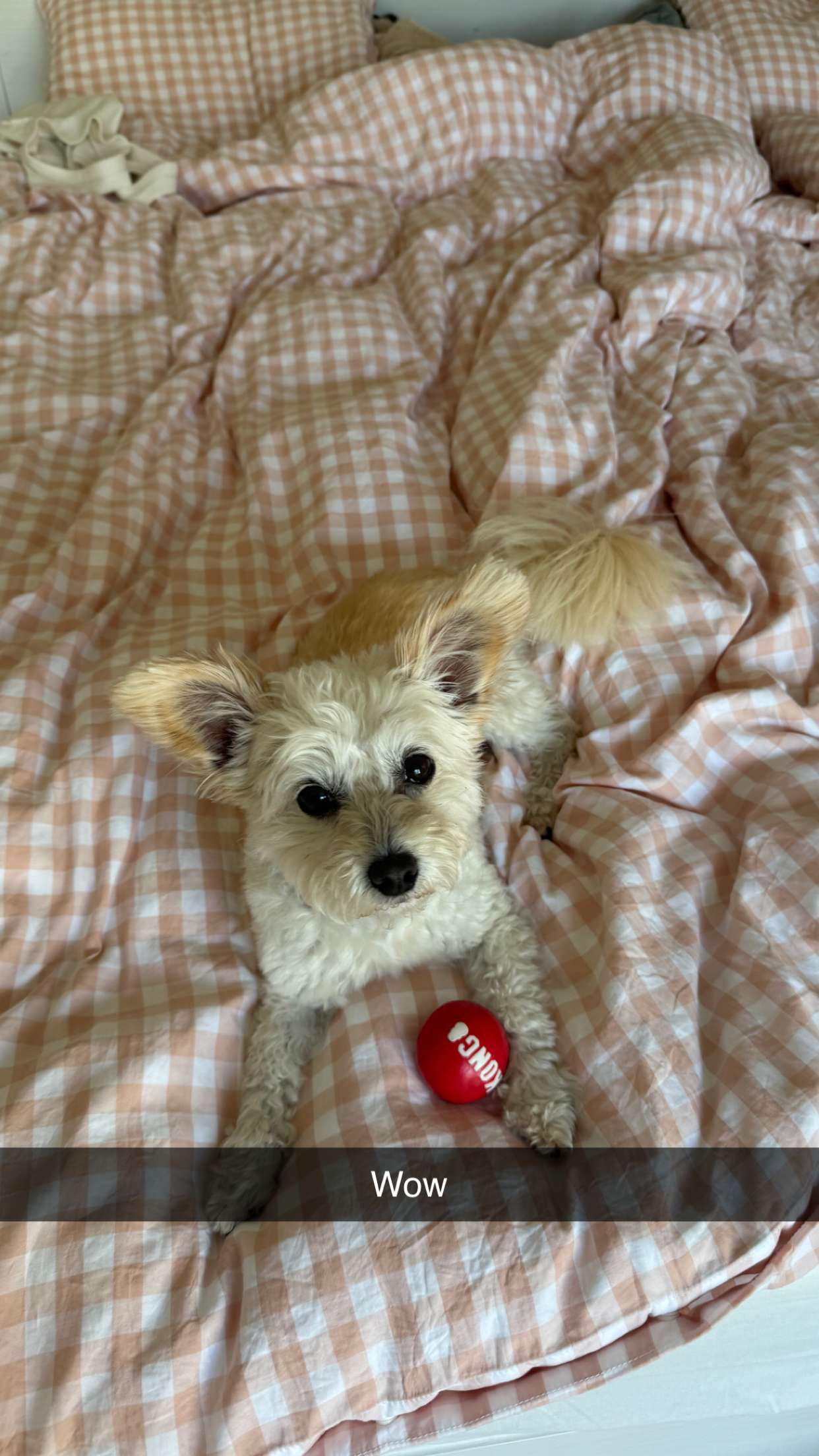 mathilda_bergs snapchat image archive image