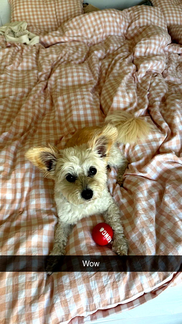 mathilda_bergs image ~ Altpins