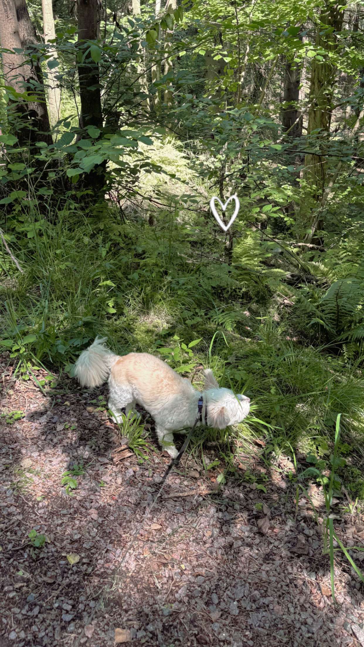 mathilda_bergs snapchat image archive image