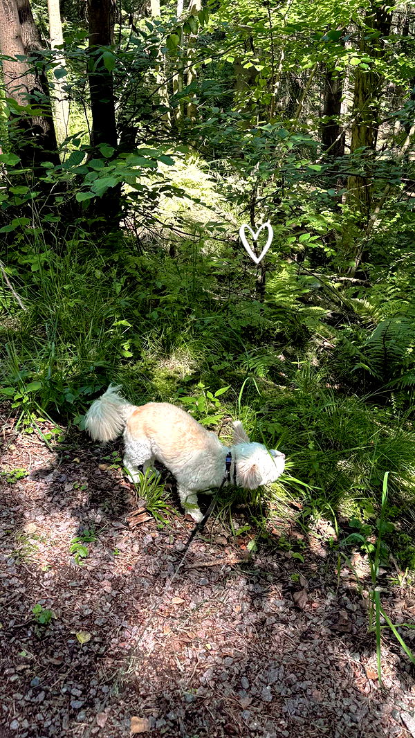 mathilda_bergs image ~ Altpins