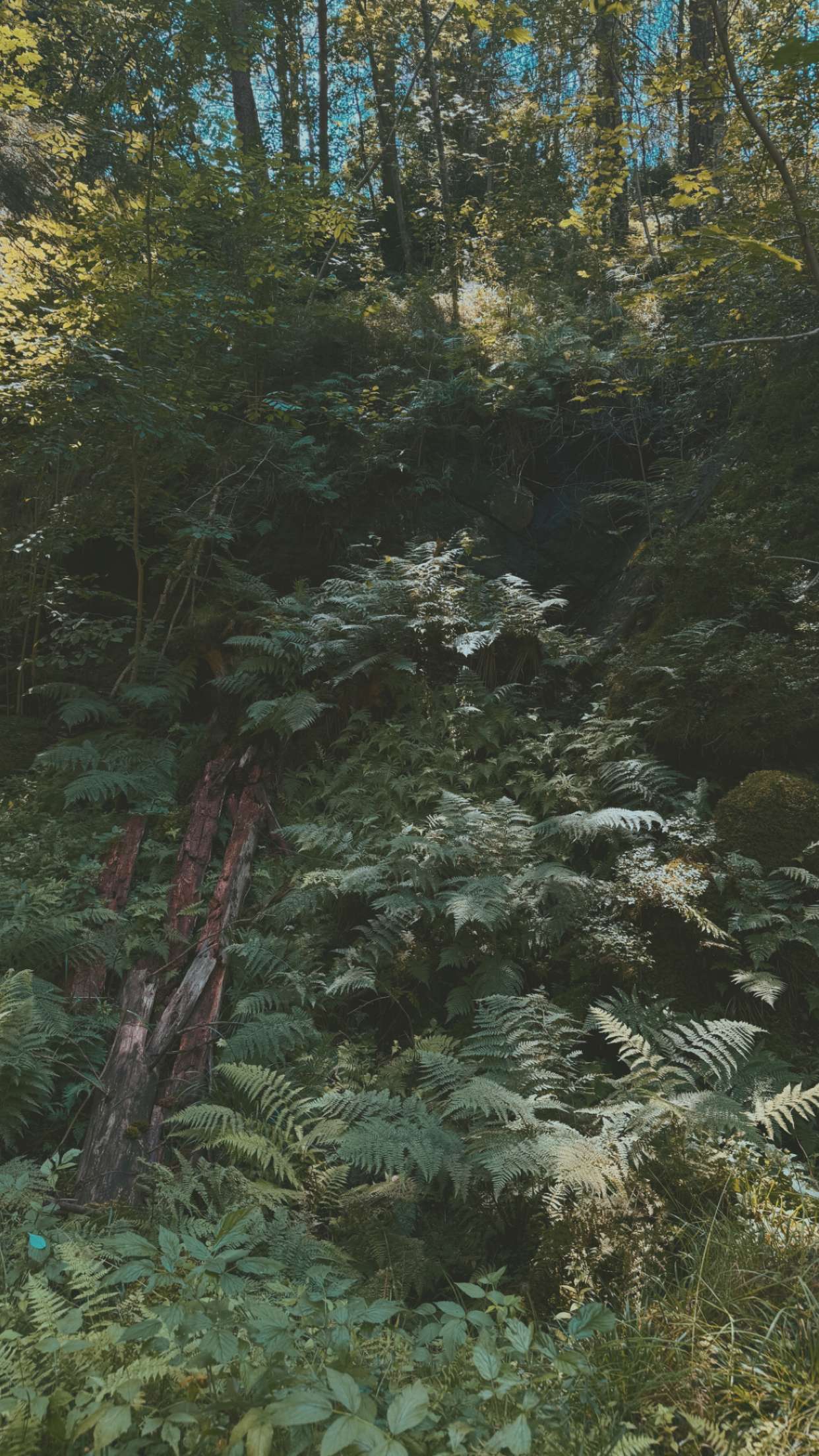 mathilda_bergs snapchat image archive image