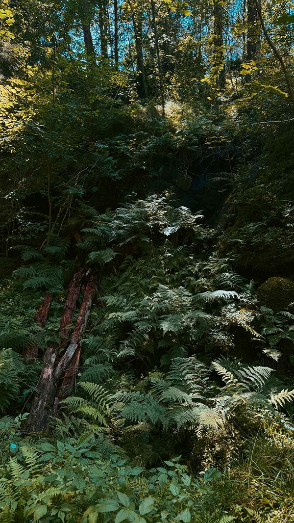 mathilda_bergs image ~ Altpins