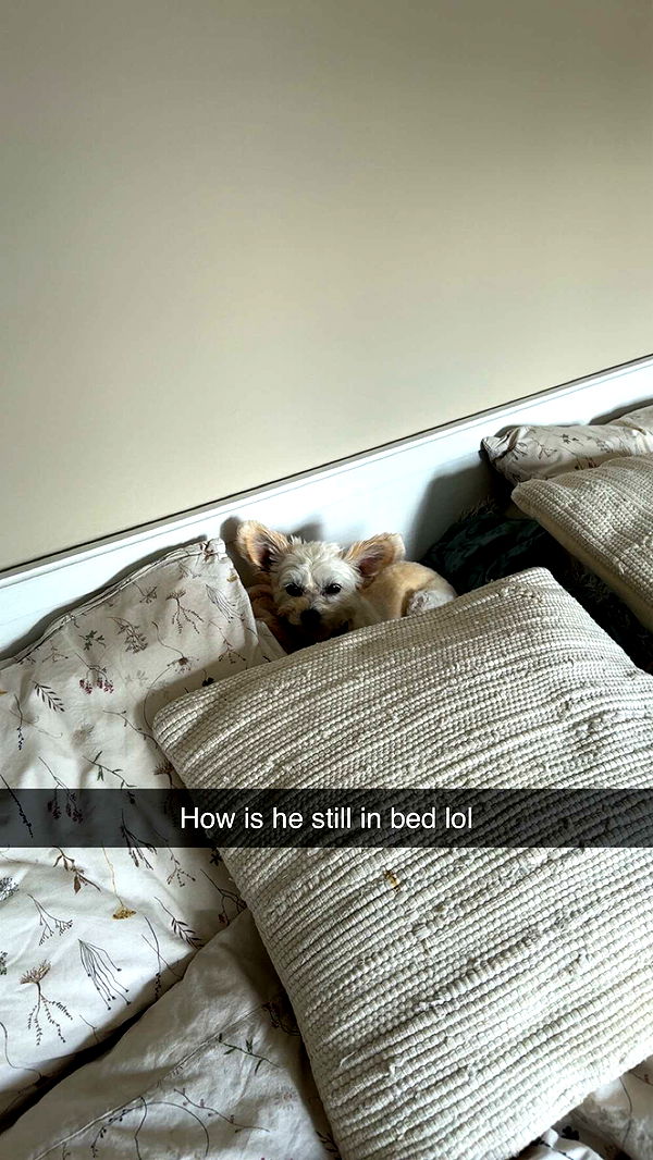 mathilda_bergs image ~ Altpins