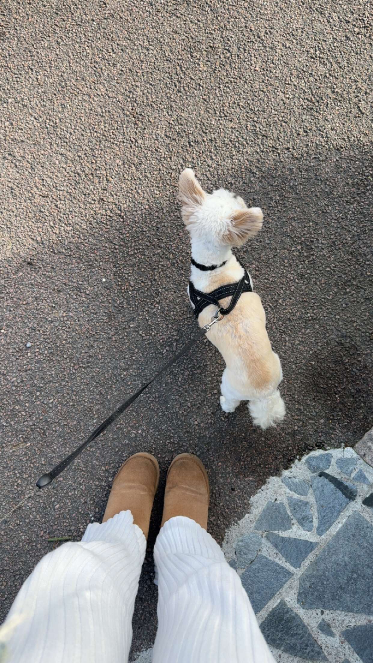 mathilda_bergs snapchat image archive image