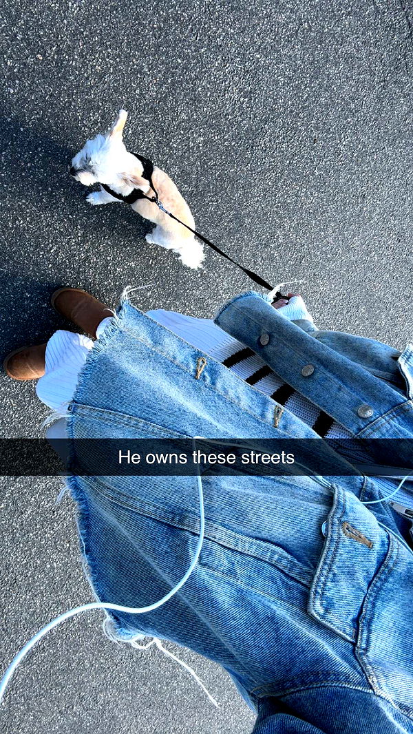 mathilda_bergs image ~ Altpins