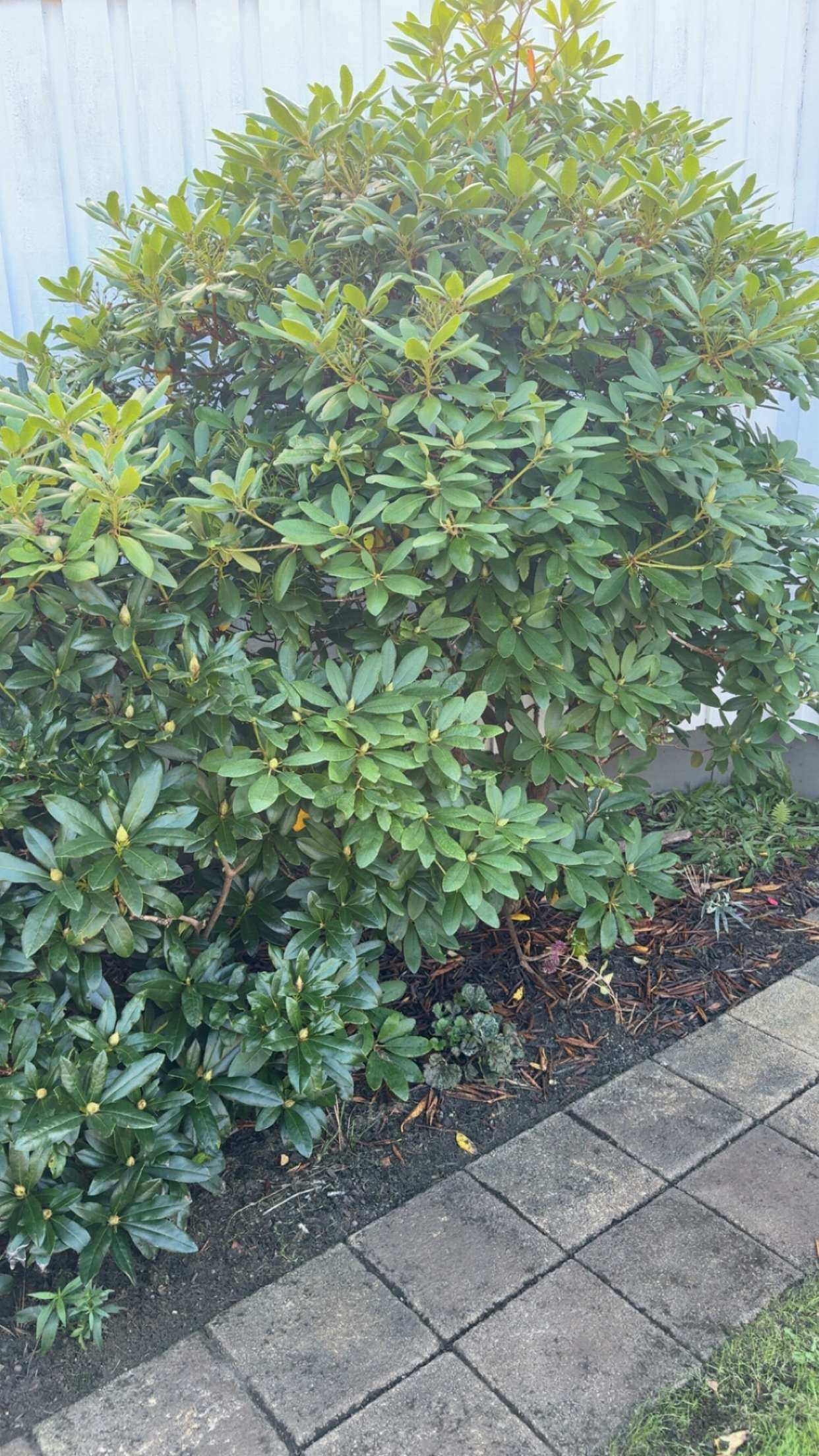 mathilda_bergs snapchat image archive image