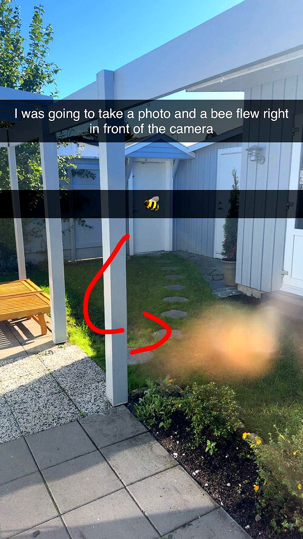 mathilda_bergs image ~ Altpins