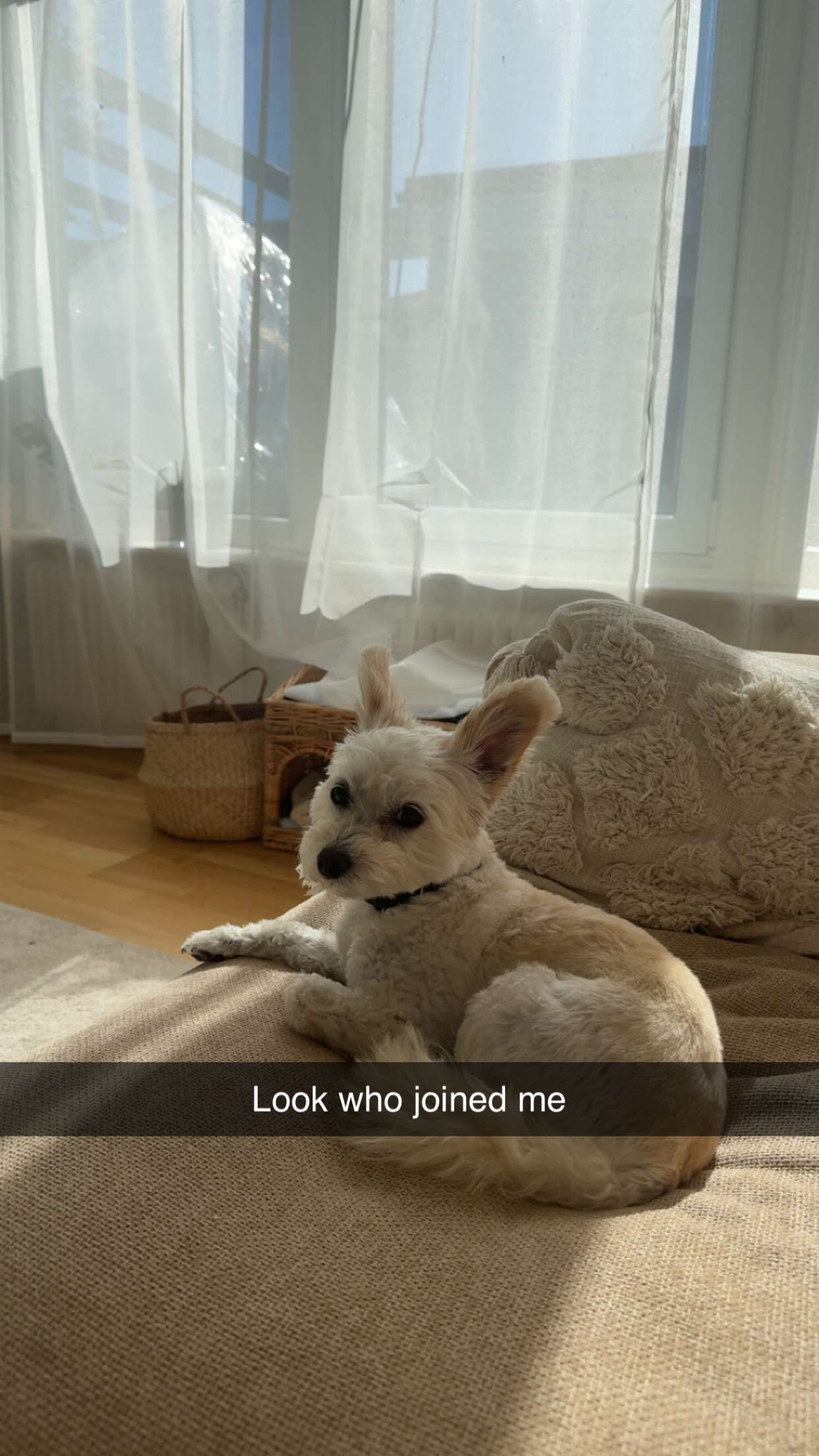 mathilda_bergs snapchat image archive image