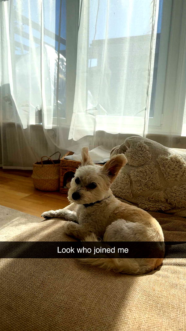 mathilda_bergs image ~ Altpins