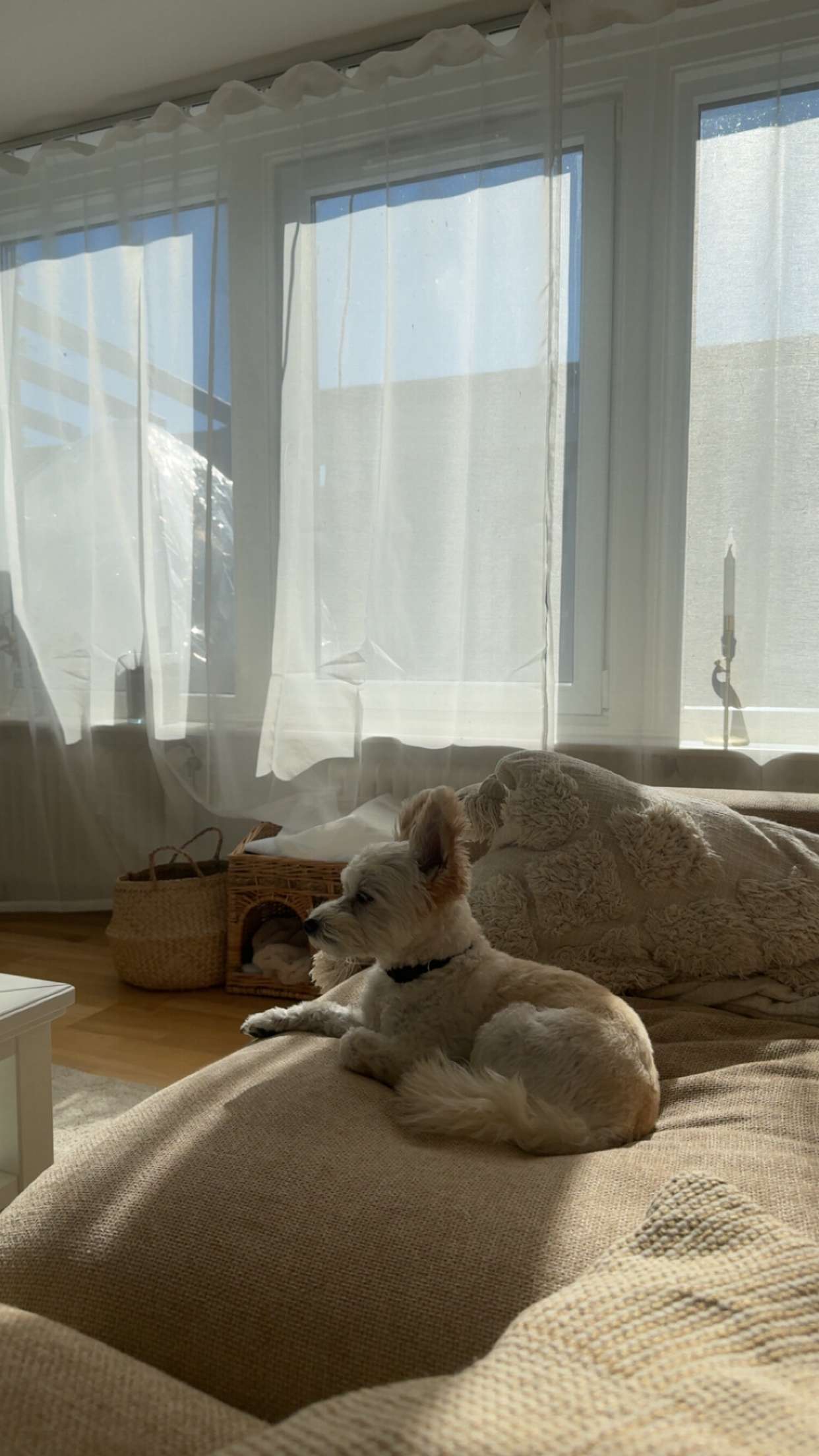 mathilda_bergs snapchat image archive image