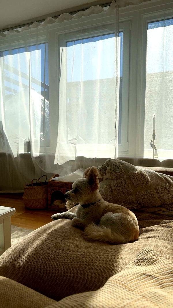 mathilda_bergs image ~ Altpins