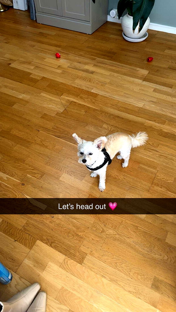 mathilda_bergs image ~ Altpins