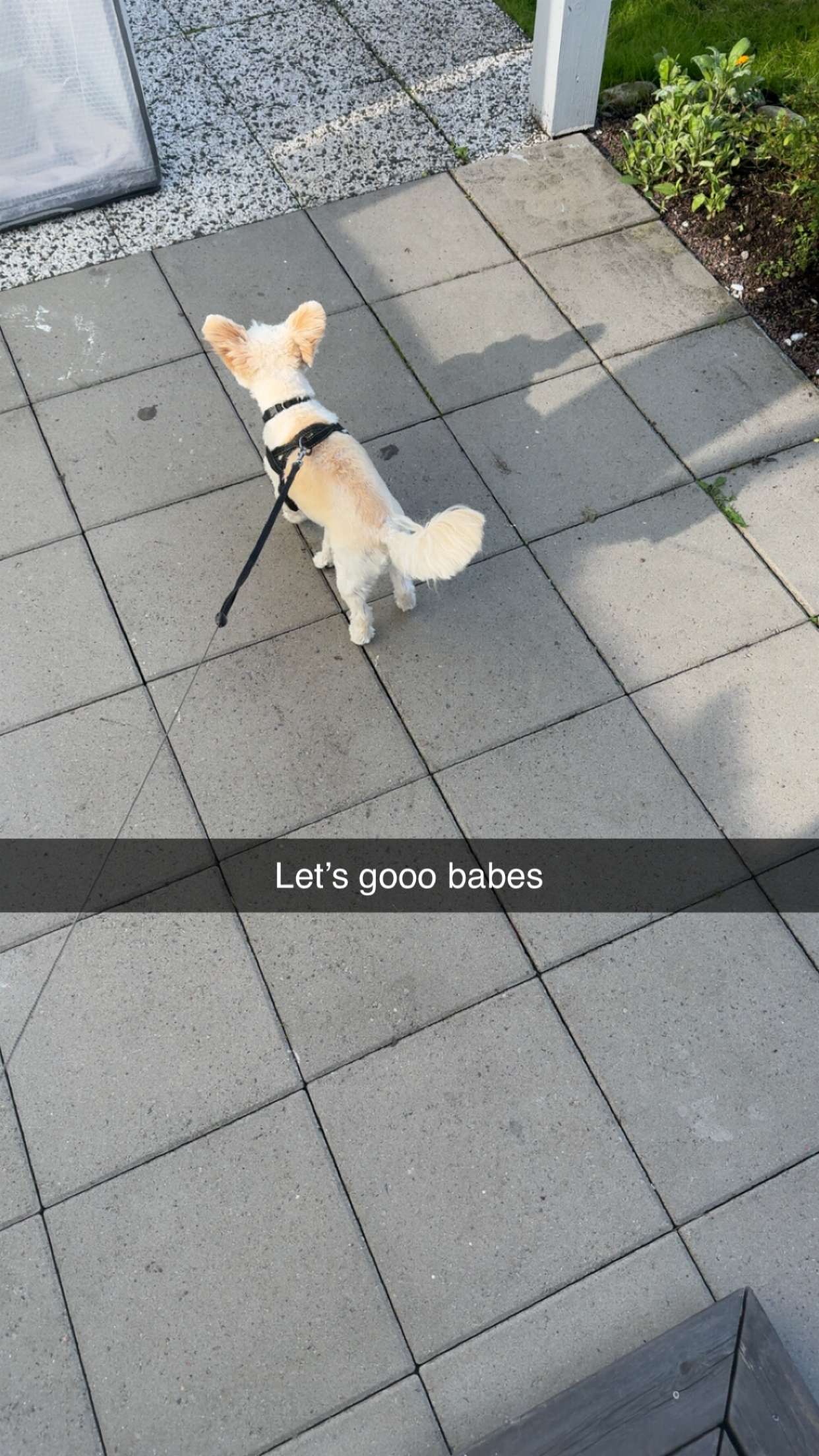 mathilda_bergs snapchat image archive image